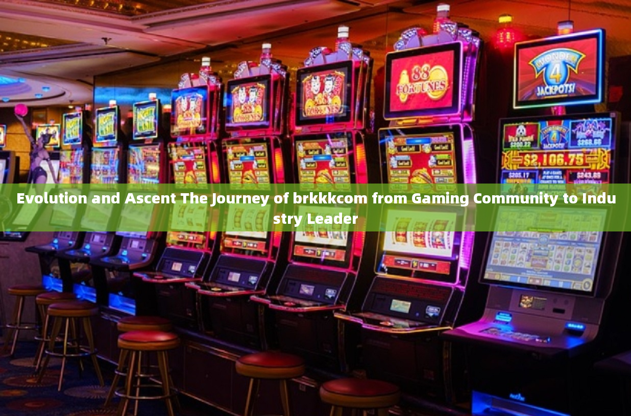 Evolution and Ascent The Journey of brkkkcom from Gaming Community to Industry Leader