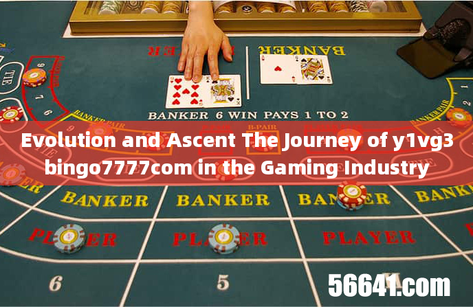 Evolution and Ascent The Journey of y1vg3bingo7777com in the Gaming Industry